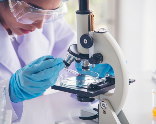 Scientist looking at a slide under a microscope
